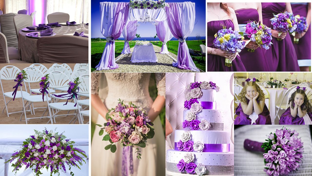 Colores de bodas Amethyst Orchid - Orquídea amatista