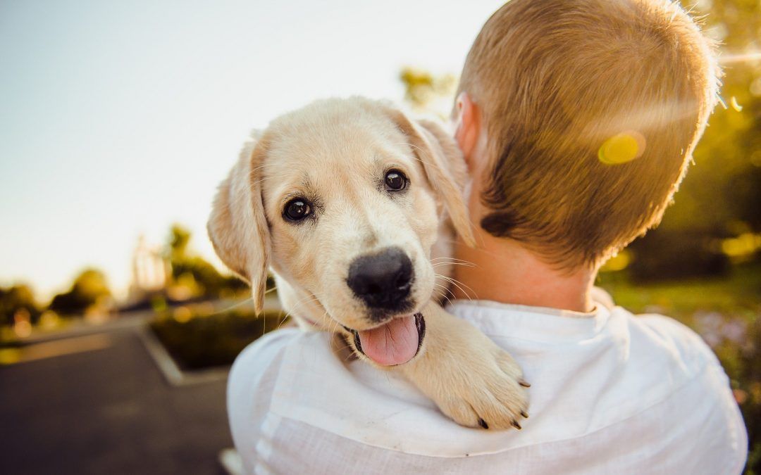 ¿Los perros sonríen?